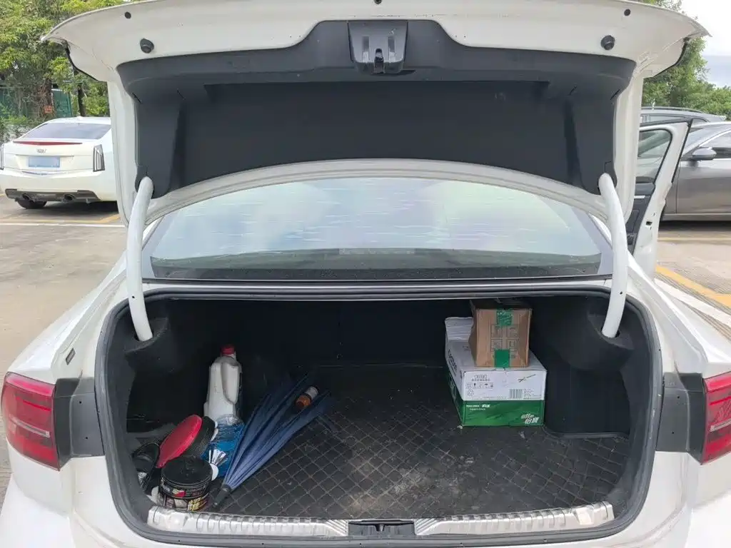 Volkswagen Lamando — миниатюра 10
