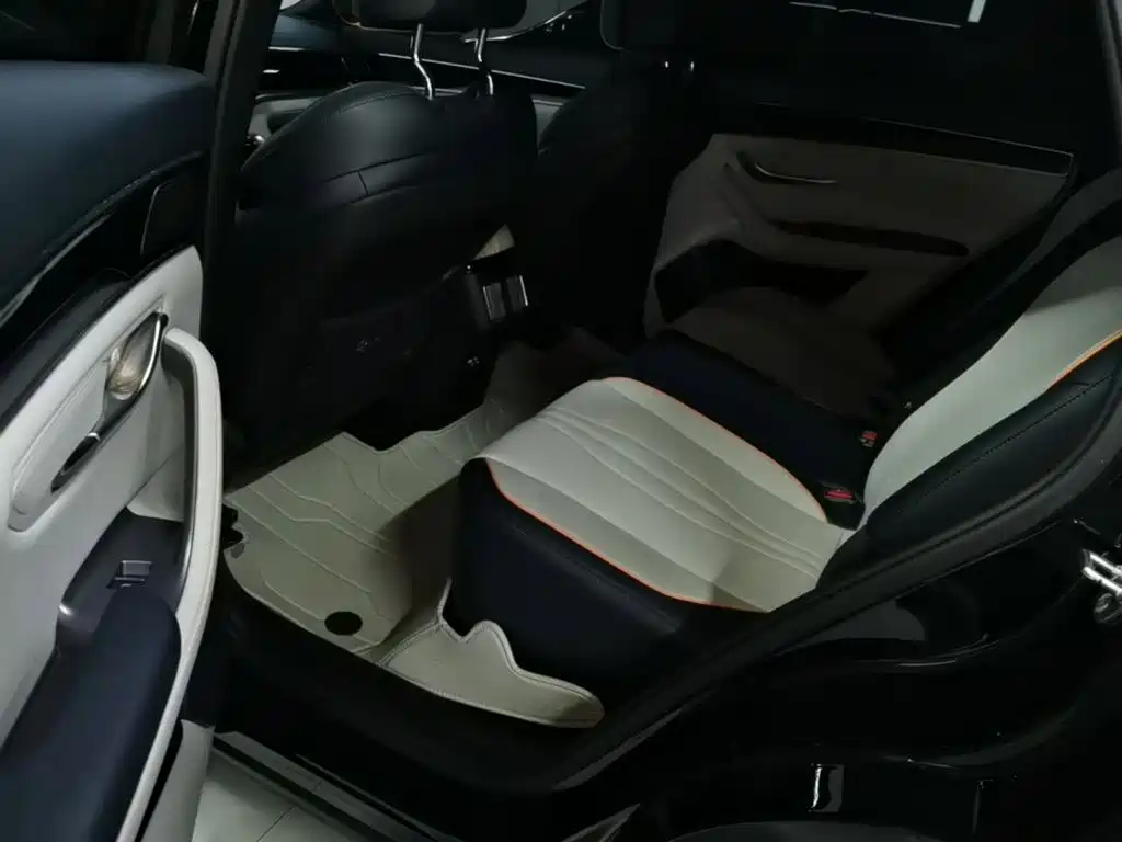 BYD PLUS New Energy — миниатюра 17