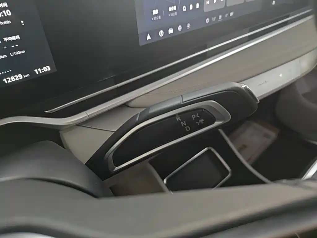 MAXUS Dajia 9 — миниатюра 13