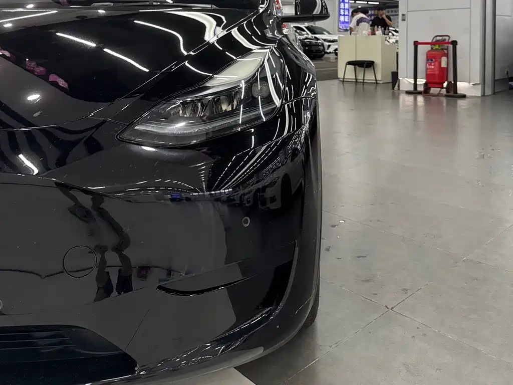Tesla Model Y — миниатюра 5