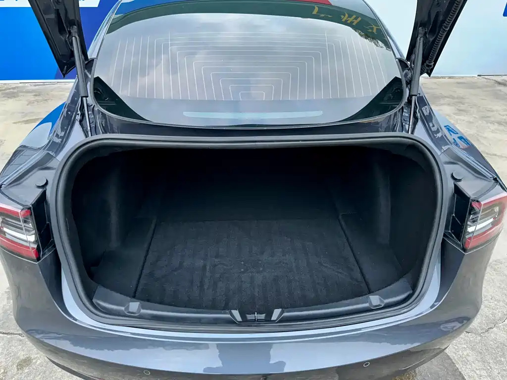 Tesla Model 3 — миниатюра 10
