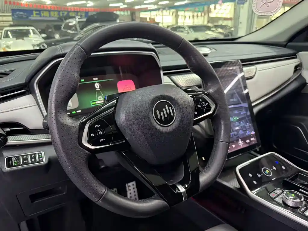 WM Motor EX5 — миниатюра 5