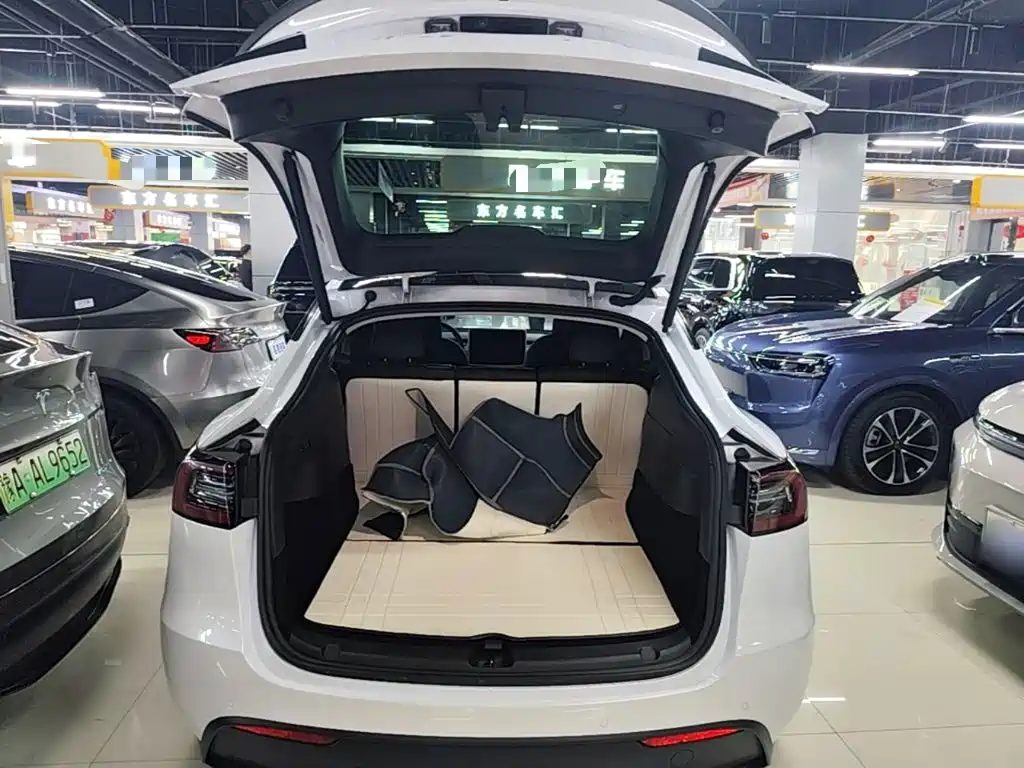 Tesla Model Y — миниатюра 19