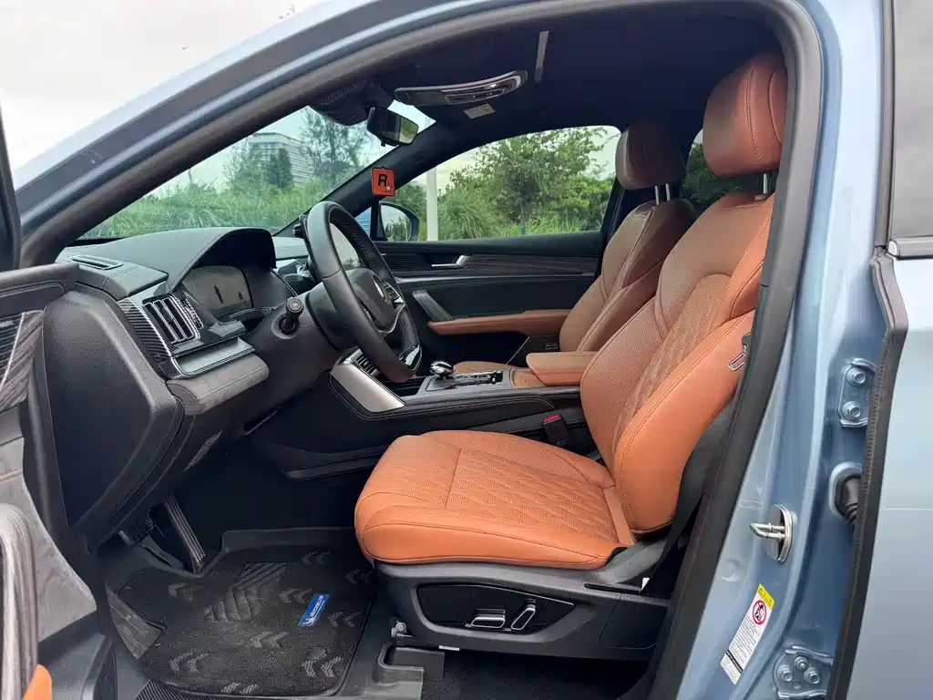 BYD Tang New Energy — миниатюра 7