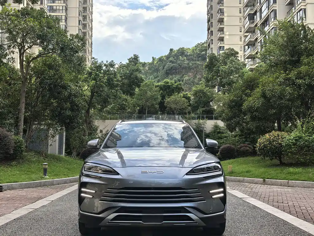 BYD PLUS New Energy — миниатюра 2
