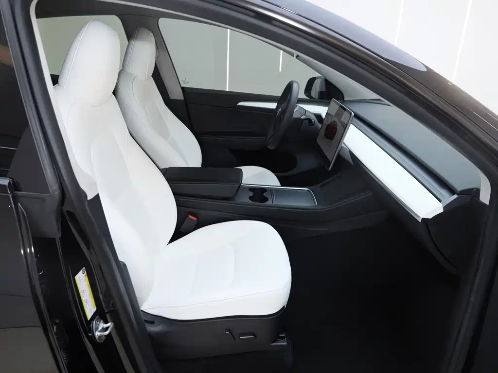 Tesla Model Y — миниатюра 10