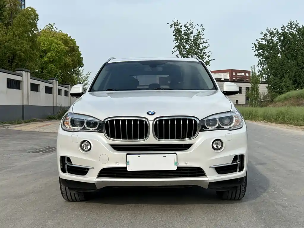 BMW X5 (Import) — миниатюра 2