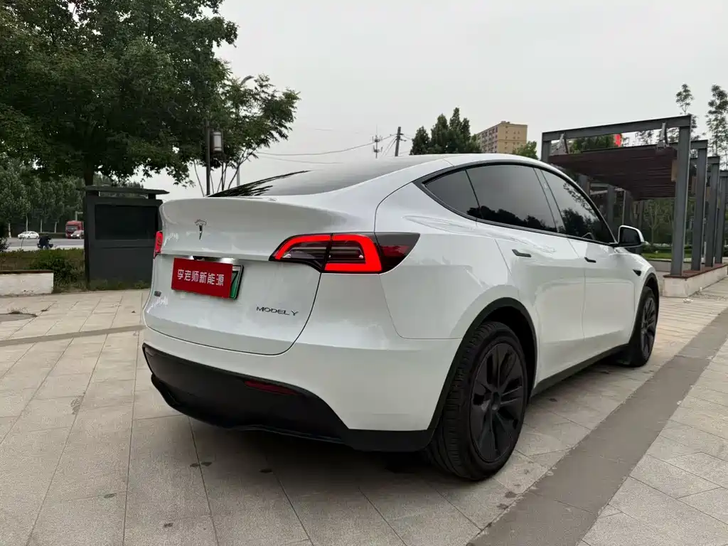 Tesla Model Y — миниатюра 5