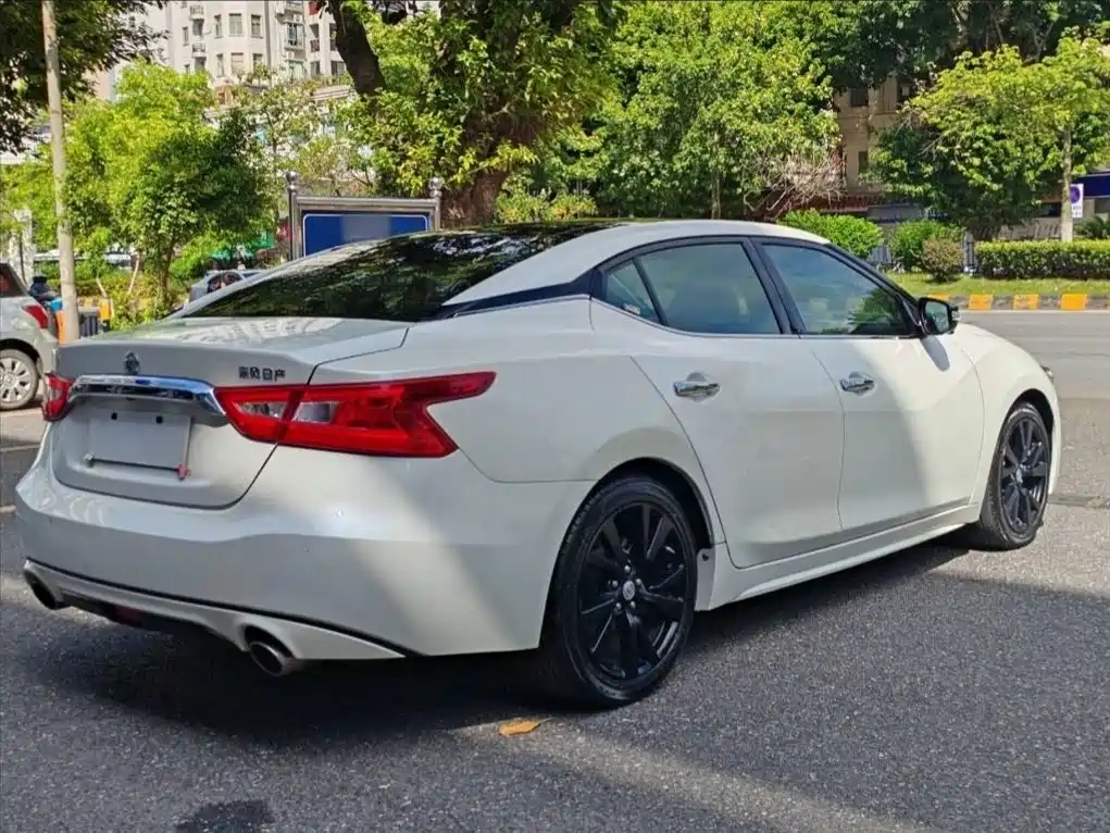 Nissan Cima — миниатюра 7