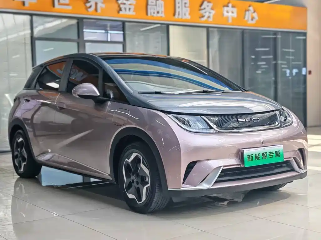 BYD Dolphin — миниатюра 2