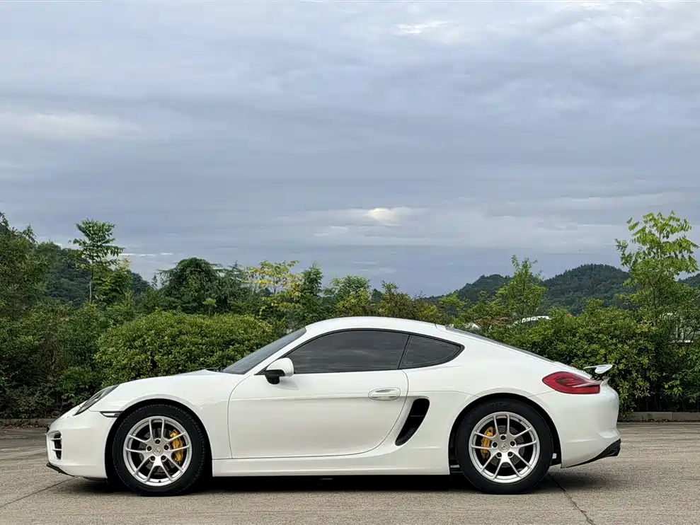 Porsche Cayman — миниатюра 9