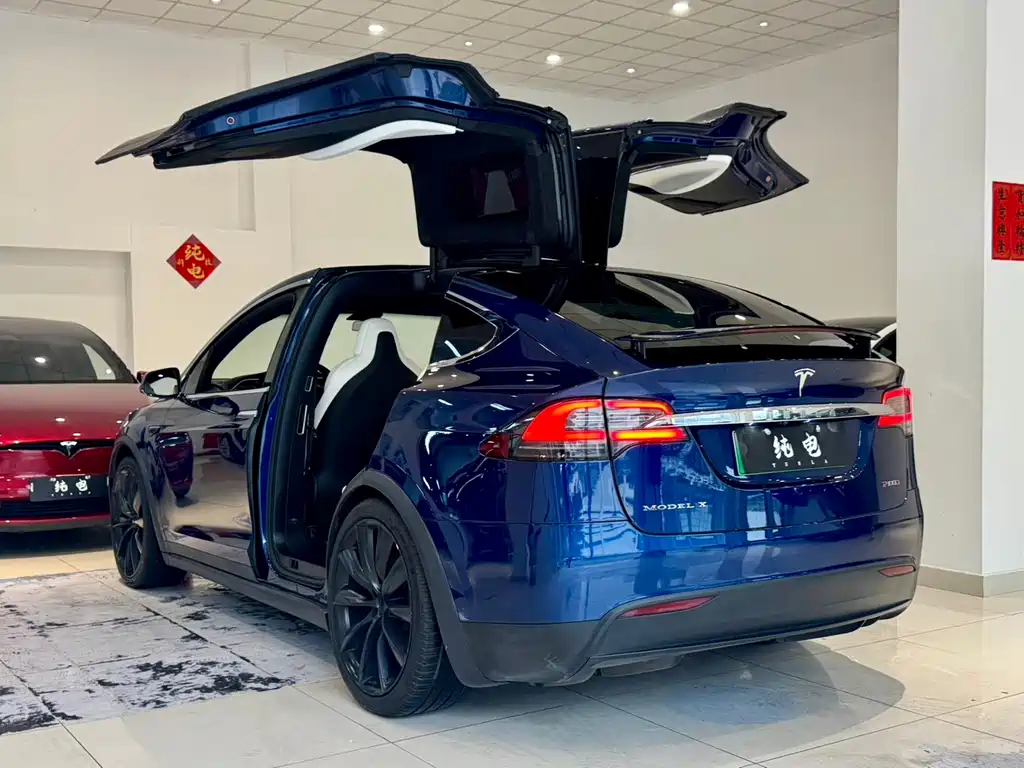 Tesla Model X — миниатюра 12