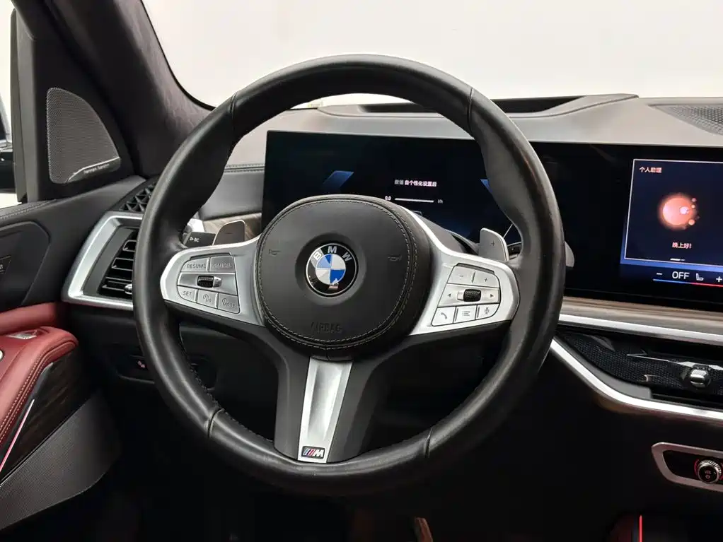 BMW X5 — миниатюра 12
