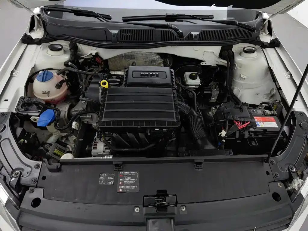 Volkswagen Gran Lavida — миниатюра 6
