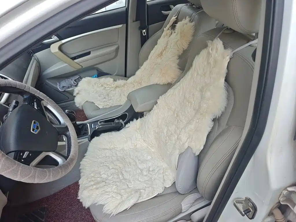 Geely Emgrand — миниатюра 16