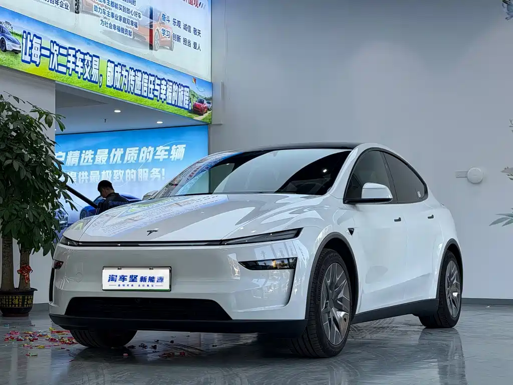 Tesla Model Y L