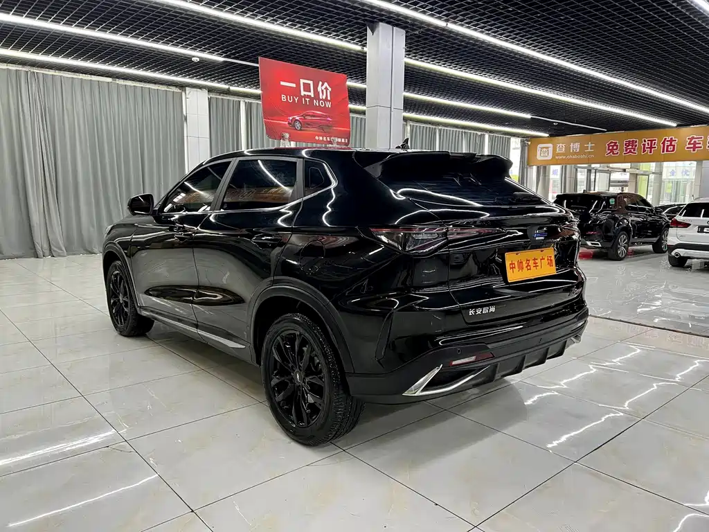 Oshan Oushang X5 PLUS — миниатюра 4