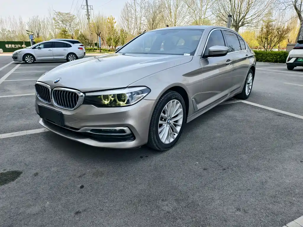 BMW 5 Series 2019