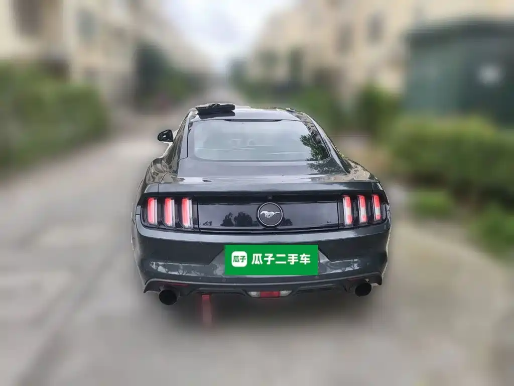 Ford Mustang — миниатюра 10