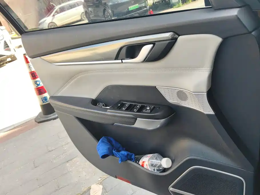 WM Motor EX5 — миниатюра 7