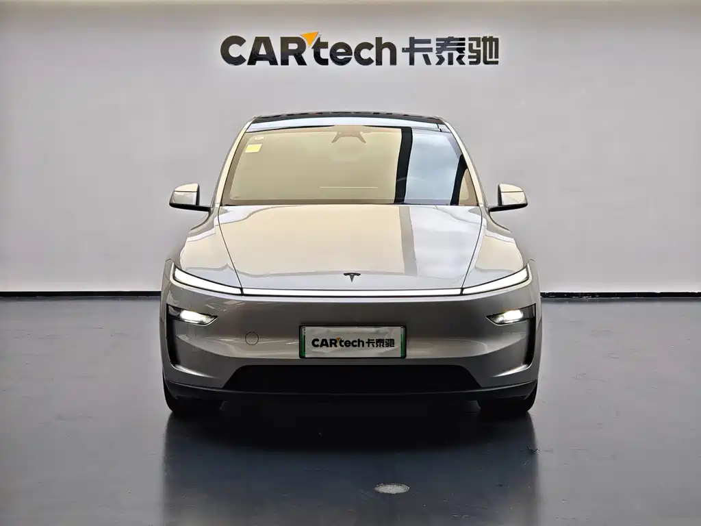 Tesla Model Y L — миниатюра 5