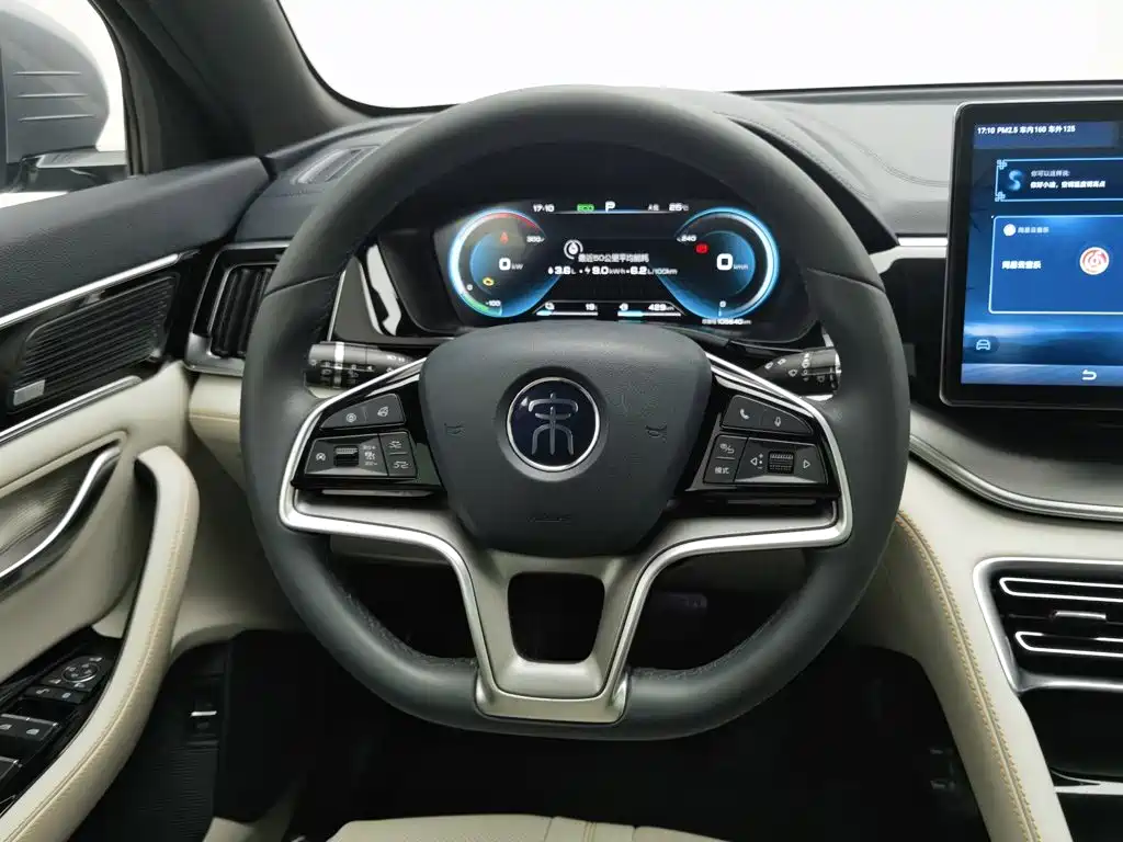 BYD PLUS New Energy — миниатюра 11