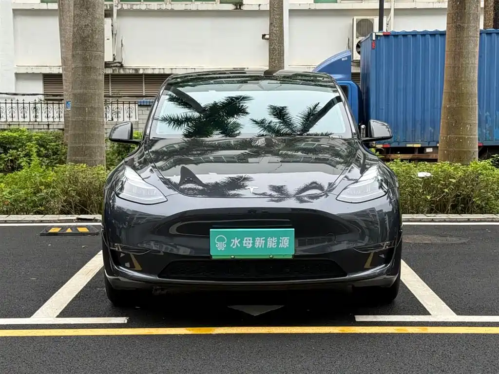 Tesla Model Y — миниатюра 2