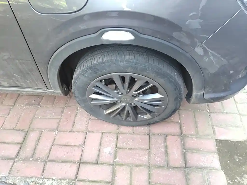 Neta Neta V — миниатюра 8