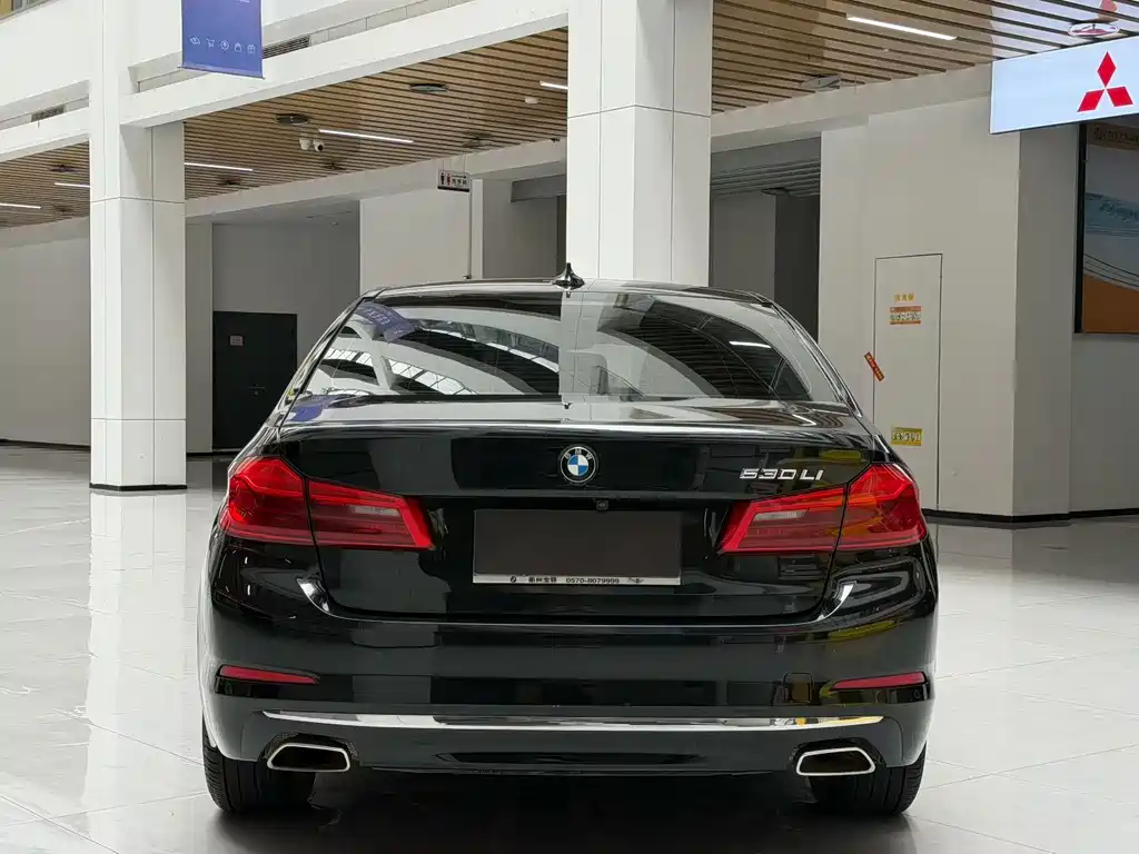 BMW 5 Series 5 2020 530Li Premium Luxury