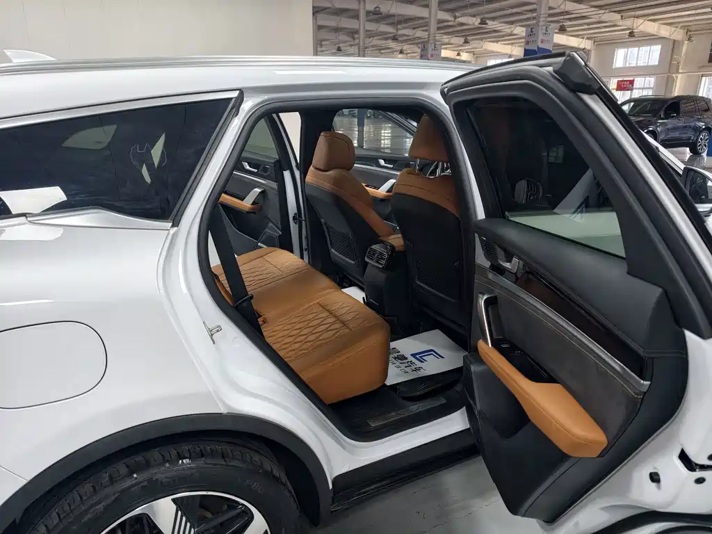 BYD Tang New Energy — миниатюра 14