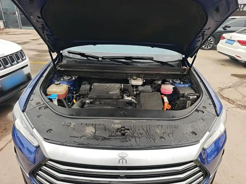 BYD Pro New Energy — миниатюра 20