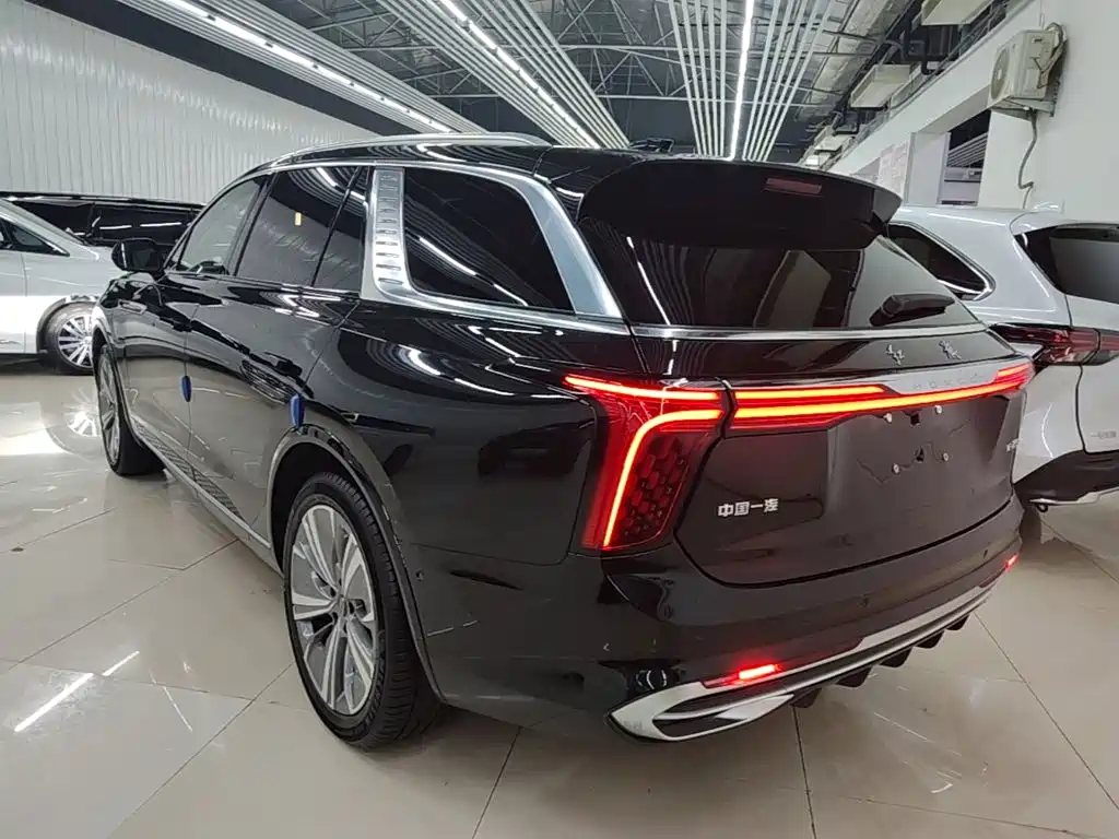 Hongqi Hongqi E-HS9 — миниатюра 5