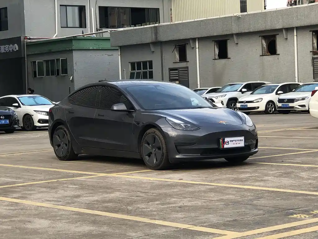 Tesla Model 3 — миниатюра 3