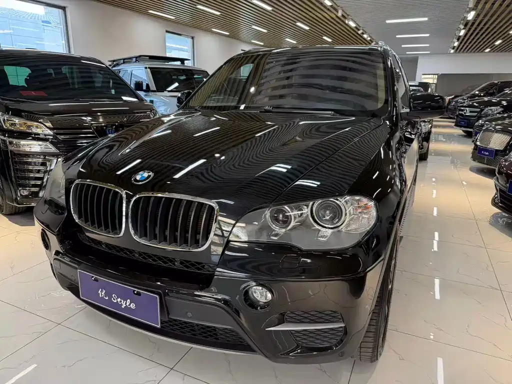 BMW X5 (Import) 2010