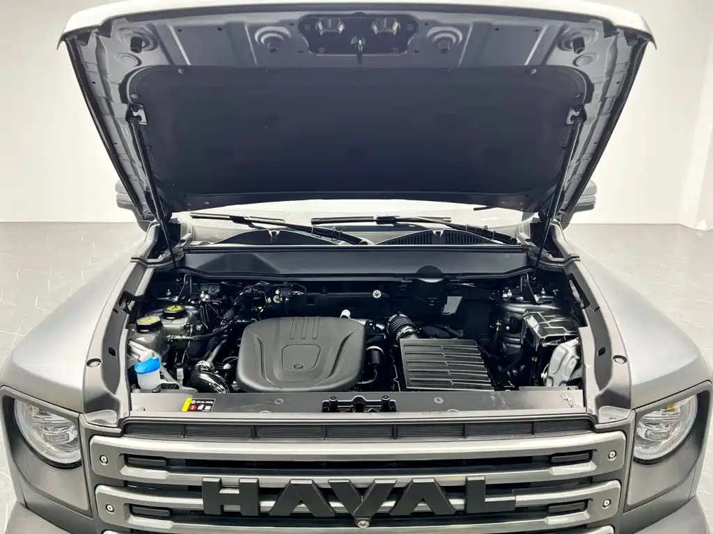Haval Menglong New Energy — миниатюра 25
