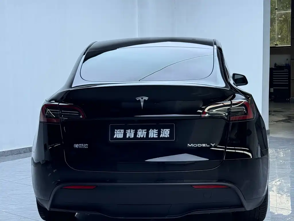 Tesla Model Y — миниатюра 15