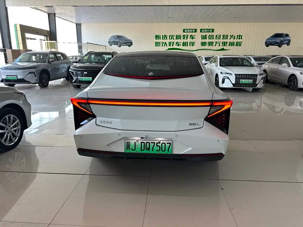 Lingxi Lingxi L — миниатюра 7