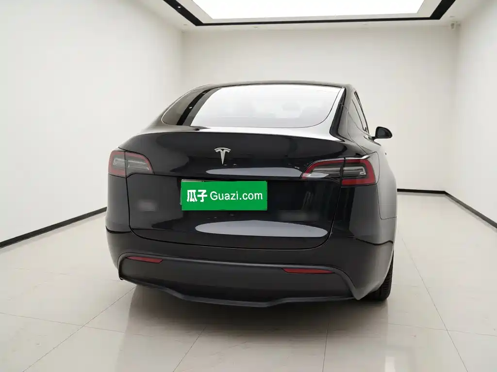 Tesla Model Y — миниатюра 3