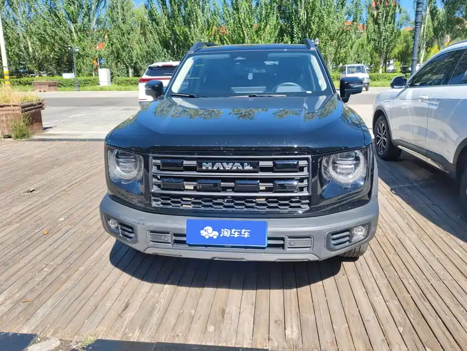 Haval Big Dog — миниатюра 2