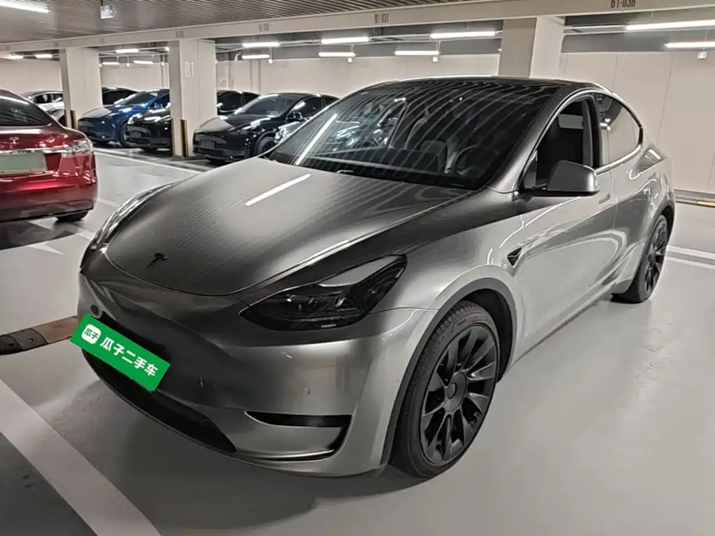 Tesla Model Y — миниатюра 2