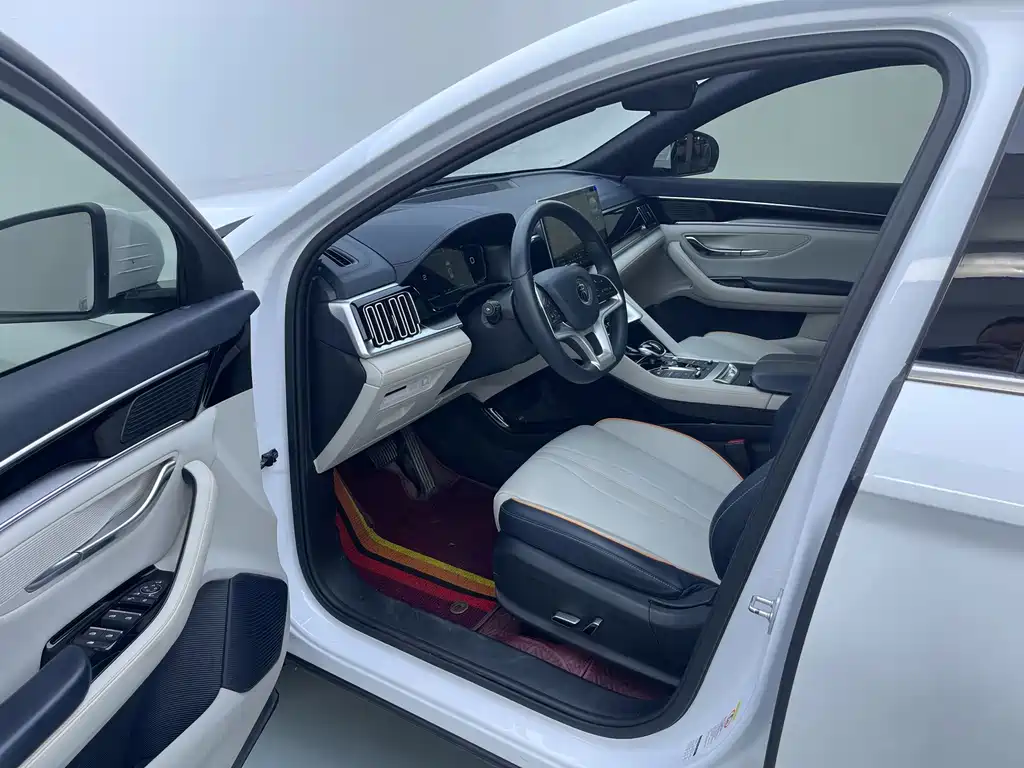 BYD PLUS New Energy — миниатюра 4