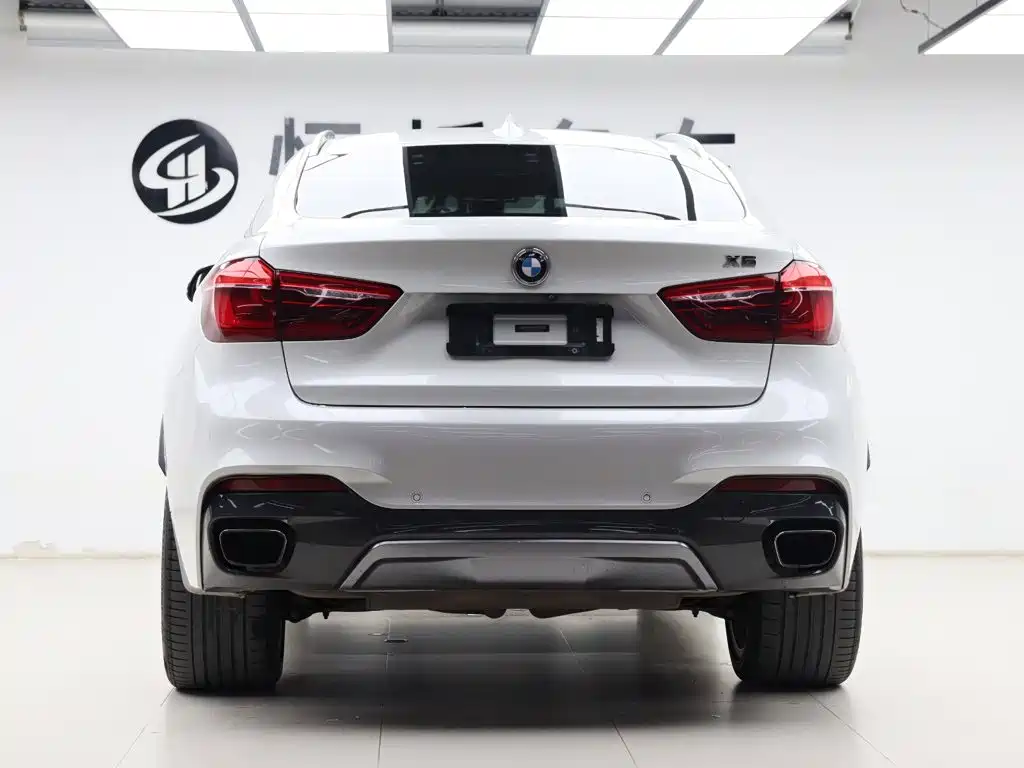 BMW X6 — миниатюра 28