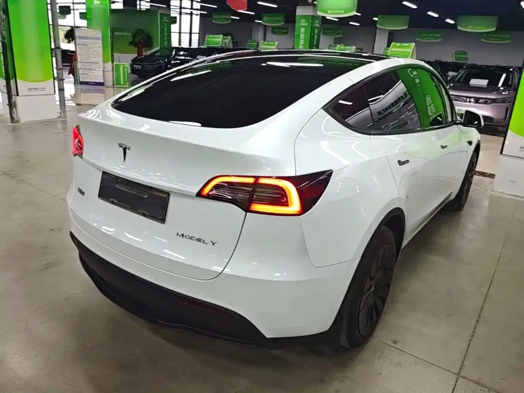 Tesla Model Y — миниатюра 7