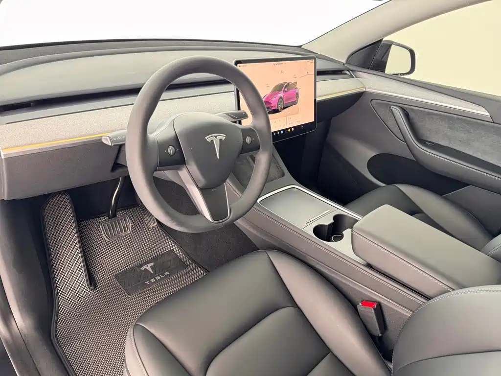 Tesla Model Y — миниатюра 5