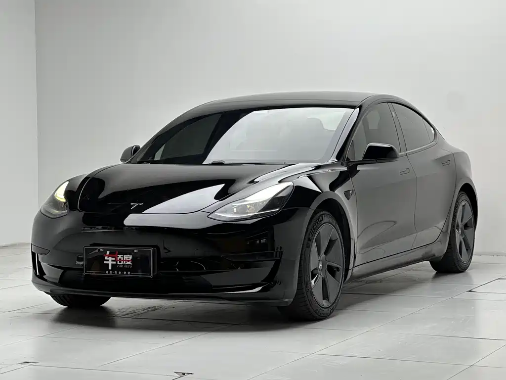 Tesla Model 3 2021 3D1