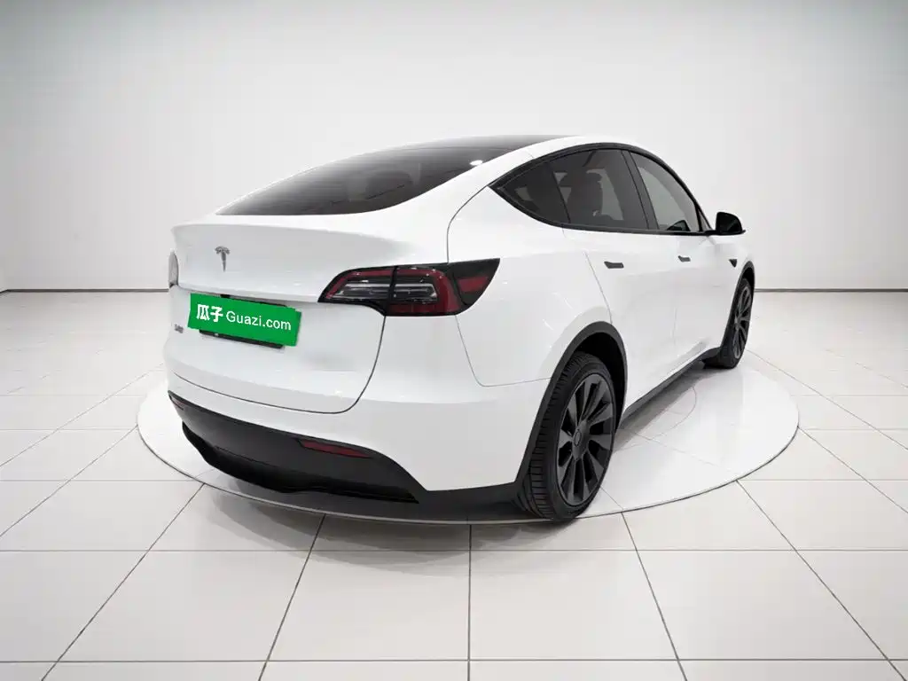 Tesla Model Y — миниатюра 4