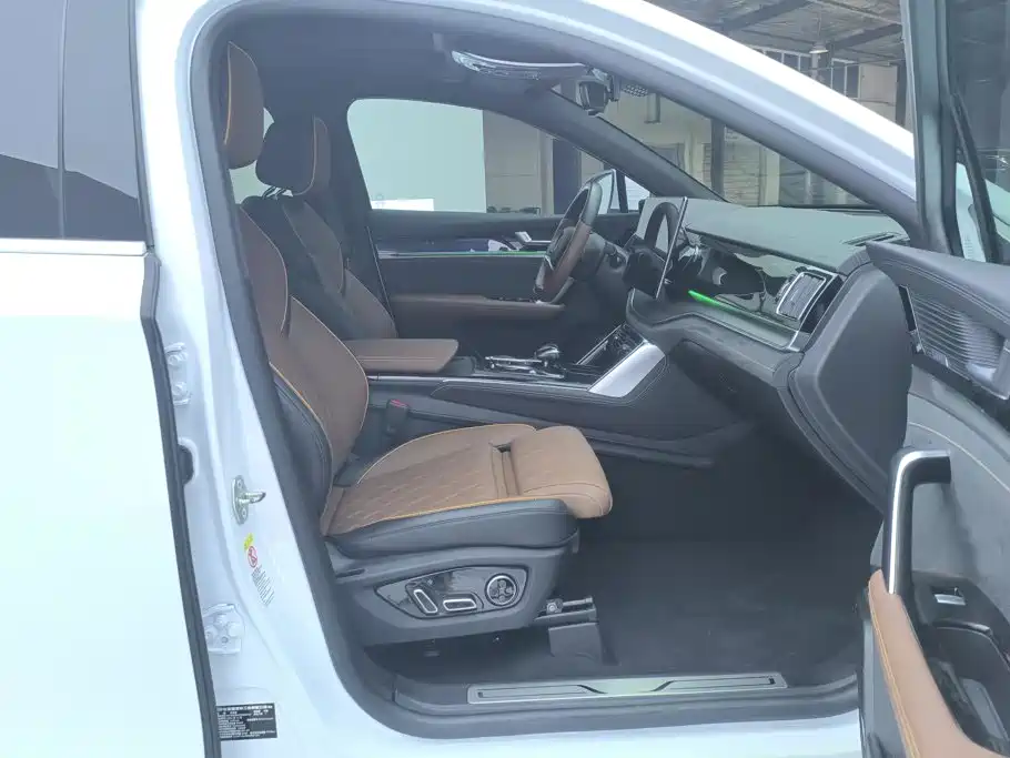 BYD Tang New Energy — миниатюра 8