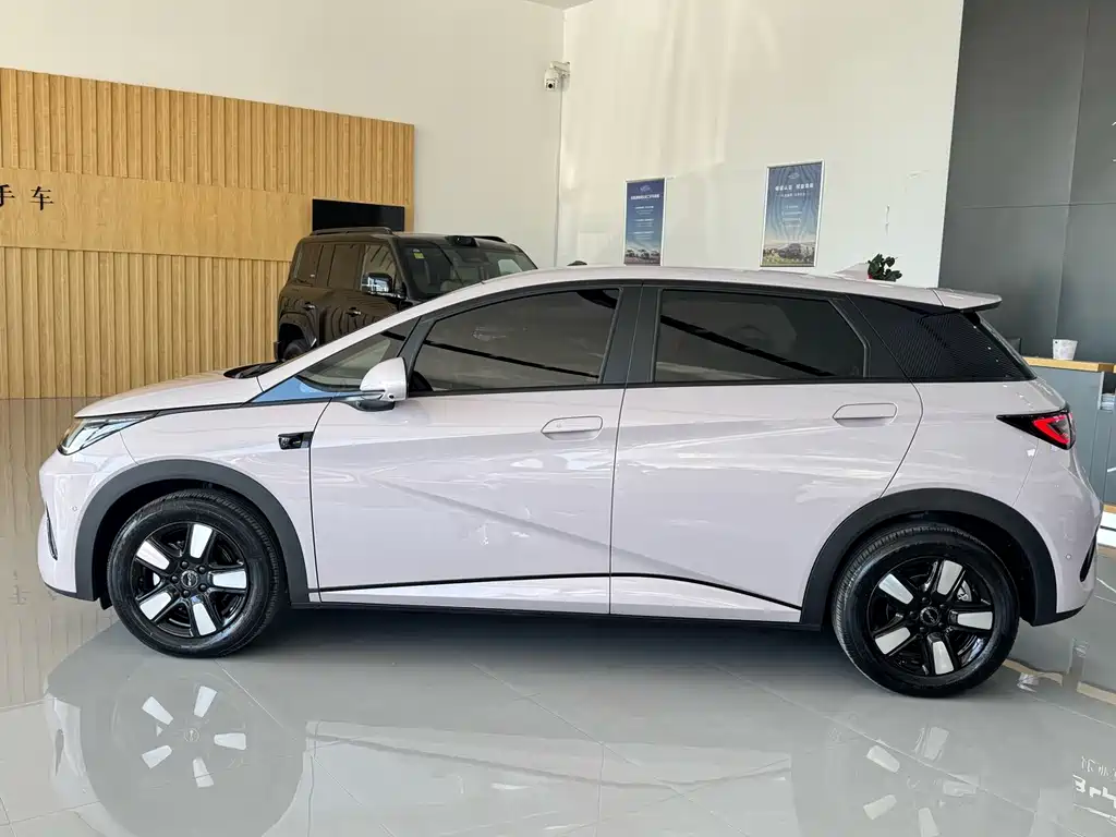BYD Dolphin — миниатюра 3