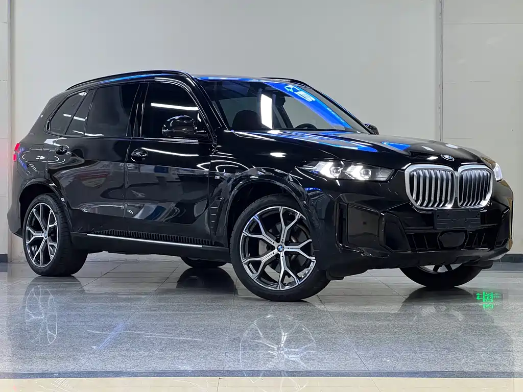 BMW X5 — миниатюра 3