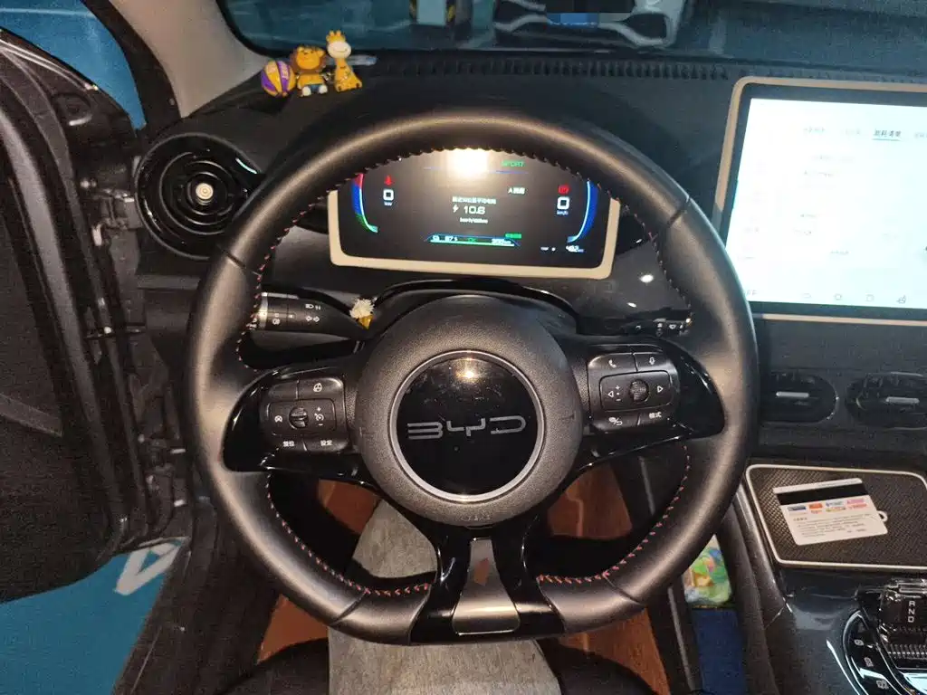 BYD e2 — миниатюра 11